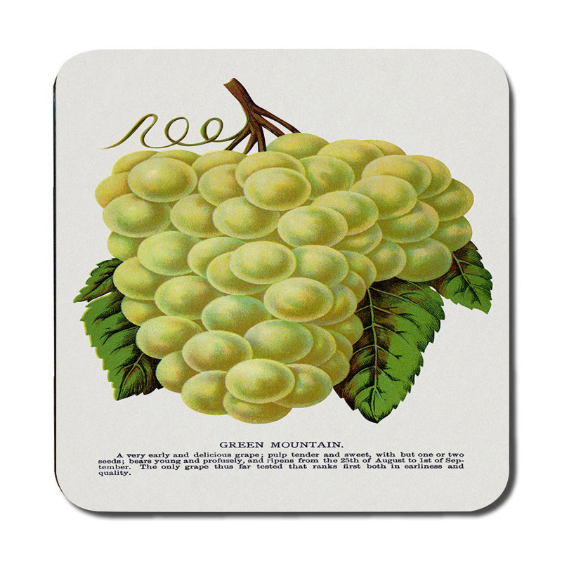 Designer Grapes Placemats And Coasters Set High End Print Wood Backed 12 Piece Exclusive Collection