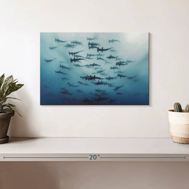 Brampt Shiver of Hammerhead Sharks, 8'' H x 12'' W