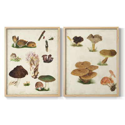 Reproduction encadrée de qualité supérieure de champignon - prêt à accrocher - aucun clou requis