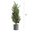 Pin 24 po en pot