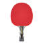 Raquette de tennis de table Raptor
