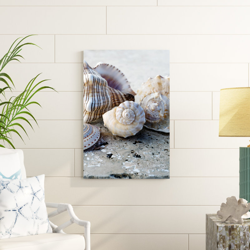 Cadeaux de la côte I, H 36 po x l 24 po x P 1,25 po
