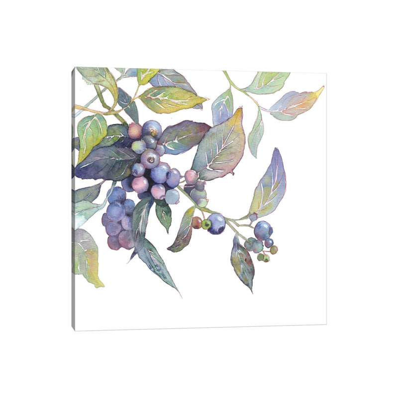 Blueberry Branch by Ekaterina Prisich - Gallery-Wrapped Canvas Giclée on Canvas, Wrapped Canvas, 30.48 cm H x 30.48 cm W