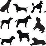 Dog Days Peel & Stick Wallpaper Roll by Jamie Graney
