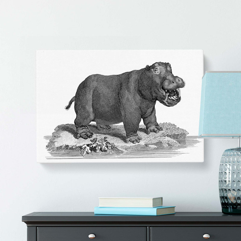 Hippopotamus in Black and White by George Shaw - Wrapped Canvas, 35cm H x 50cm W x 3cm D