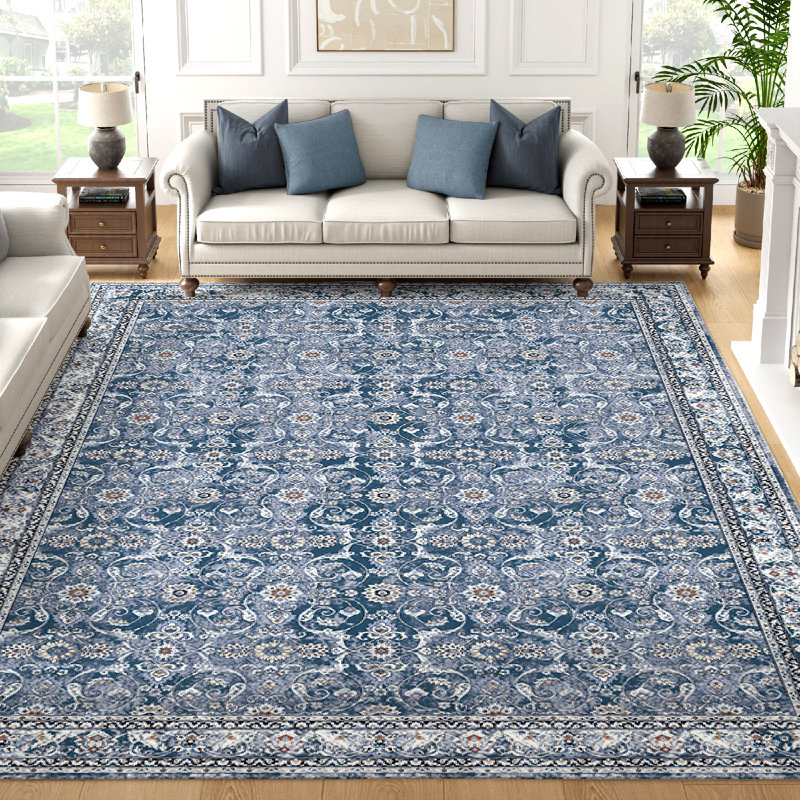 Paola Chenille Mashine Washable Vintage Indoor Arae Rug with Non-Slip Backing for Bedroom Living Room Kitchen Entryway