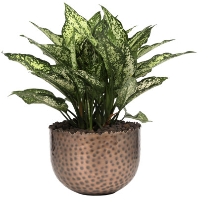 Handmade Metal Pot Planter