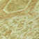 Machine Washable Indoor/Outdoor Claudian ACN1225 Sage Rug