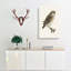 Eurasian Pygmy Owl by Von Wright - Wrapped Canvas-55316414