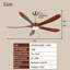Ventilateur de plafond 62 po Mid-Century