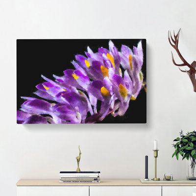 Wild Purple Orchid Flowers - Wrapped Canvas