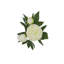 Artificial Cream Peony Stems