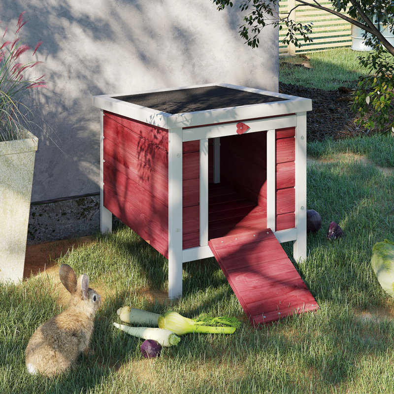 Cage à chiot rouge en bois avec design utilisateur - Convient aux cobayes et autres