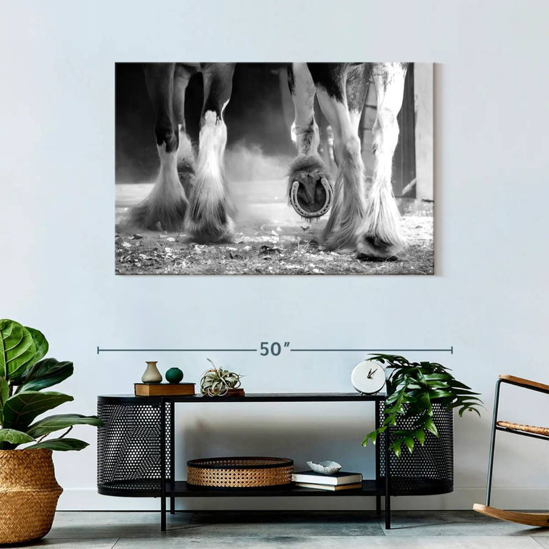Brampt Clydesdale Horse Legs