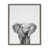 Gray Frame selected