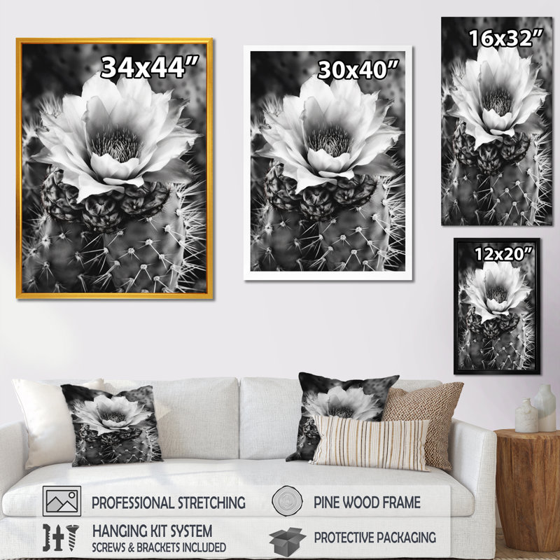 Naythen Gray Desert Cactus I sur toile, Cadre photo noir, H 20 po x l 12 po x P 1 po