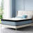 Larksville 8'' Medium Memory Foam Pocket Spring Hybrid Mattress-474237430