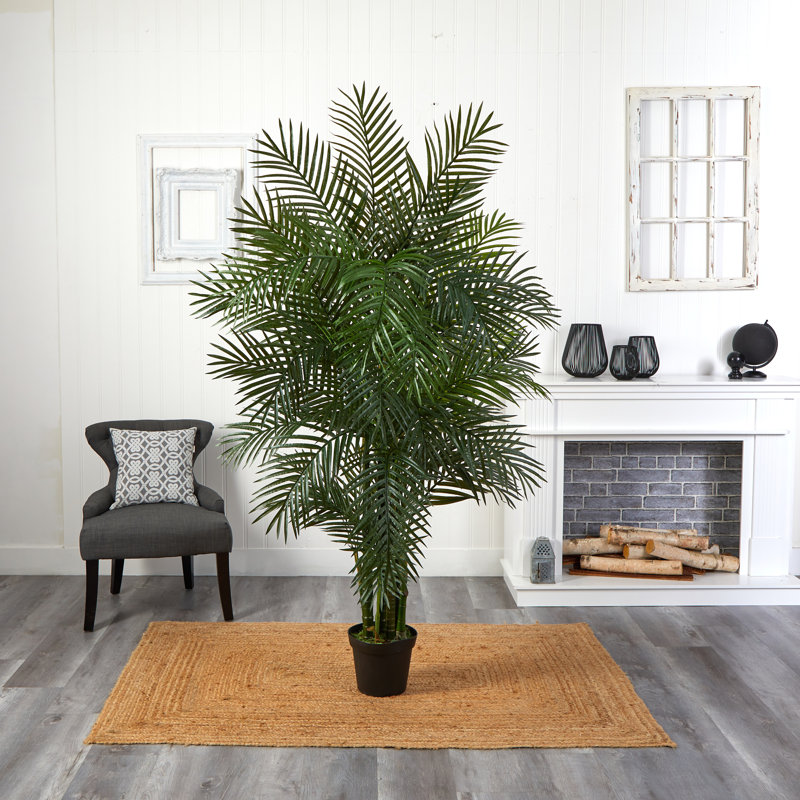 Areca Palm Tree in Pot, 78" H x 60" W x 45" D