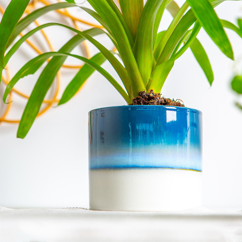 Nicola Spring - Reactive Glaze Plant Pots, 12cm H x 14cm W x 14cm D, Blue