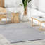 Home Conservatory Trellis Handwoven Indoor/Outdoor Area Rug-2125820405