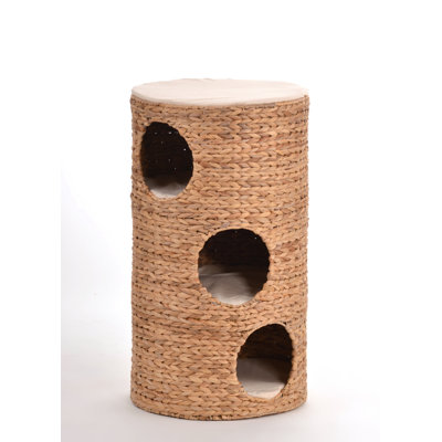 Evelin Nest/Cave