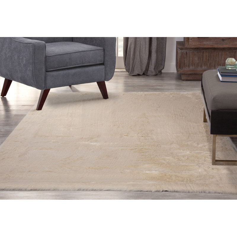 Tapis en fausse fourrure pour le salon, Rectangle de 5 pi x 8 pi