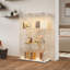 Display Cabinet-1390863891