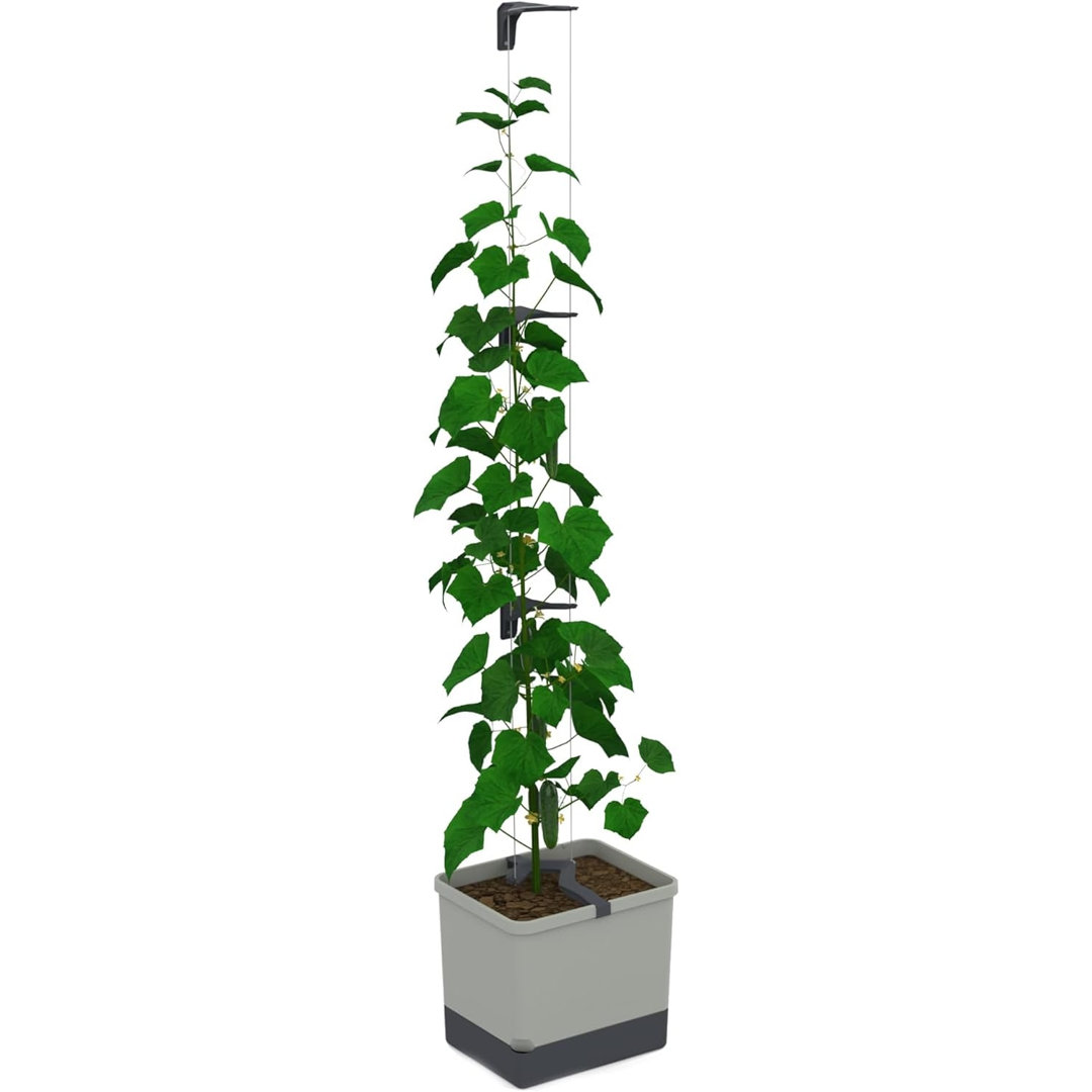 Gusta Garden Light/Grey Curt Cucumber Cucumber Planter With Water Tank - Image 3