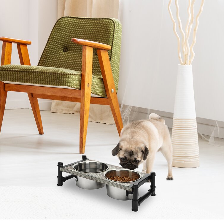 Raised Dog/Cat Elevated Feeder MyGift