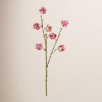Benita Hibiscus Stems