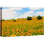 «Rustic Countryside Sunflowers» sur toile-99543338