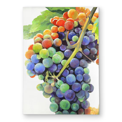 Colorful Bunch of Grapes Outdoor Area Rug | Home Decor