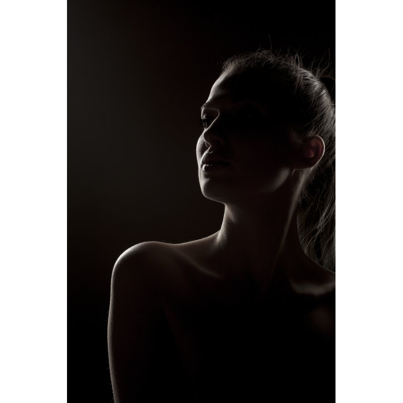 Silhouette Of A Woman - Wrapped Canvas Print, 46cm H x 30cm W x 3.8cm D