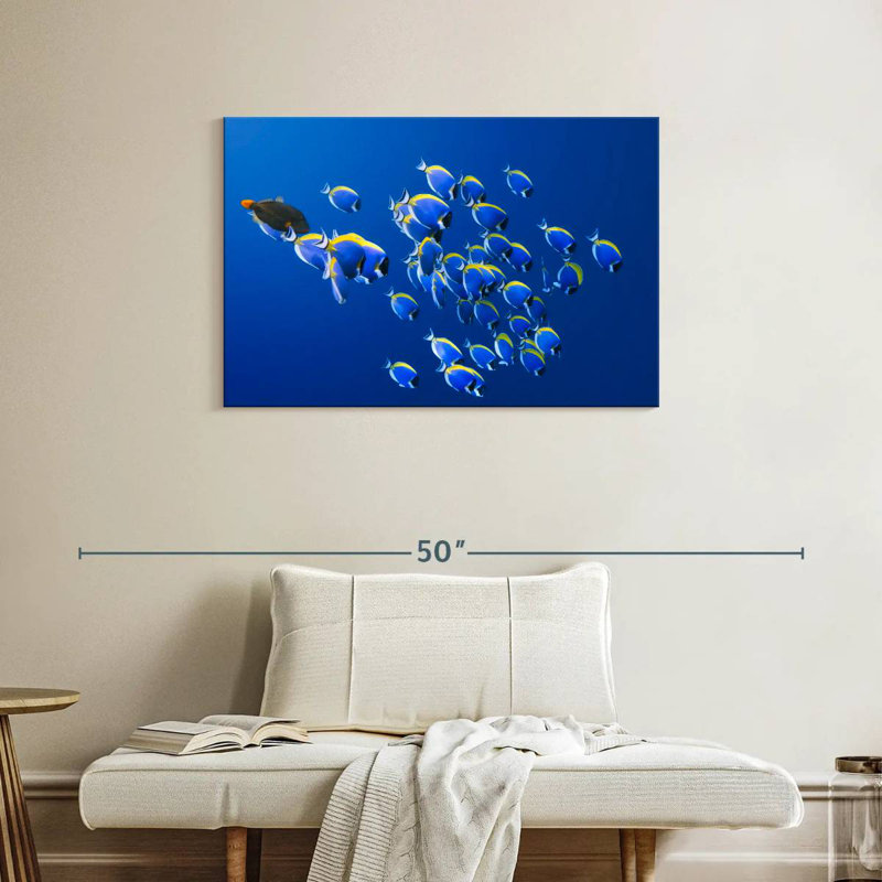 Brampt Underwater Blue Tangs, 24" H x 36" W