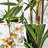 Multi-Size Bamboo Tree Faux Plant Combo (Set of 4)