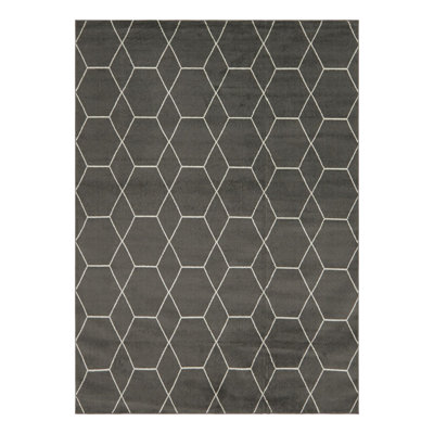 Debrodie Geometric Light Grey Area Rug