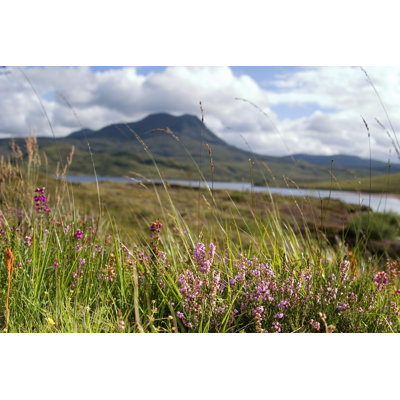 " Beautiful Highlands Of Scotland "