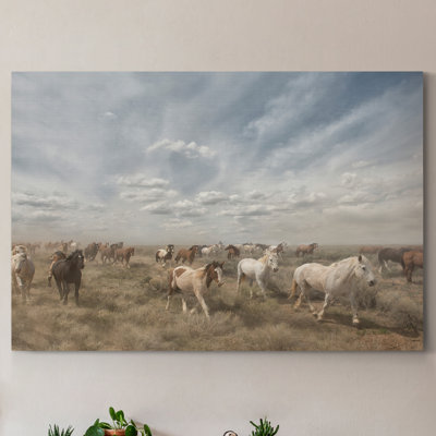 " Big Sky "