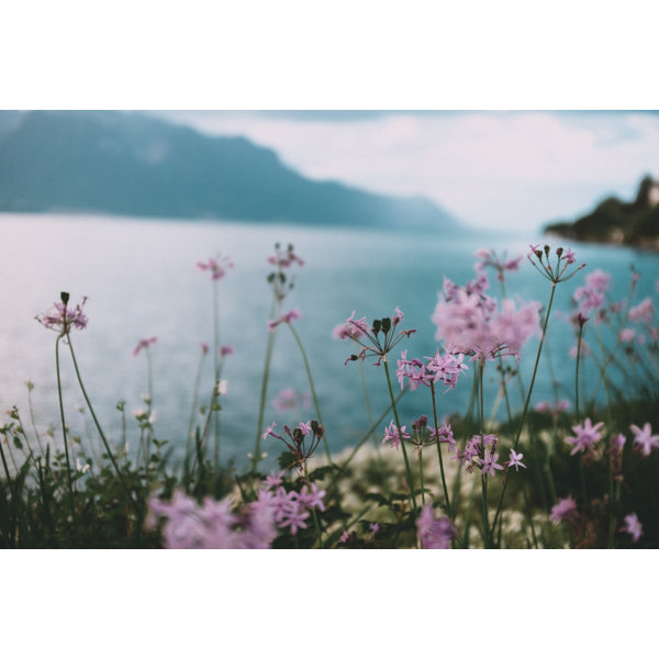 Highland Dunes Flowers On The Shore | Wayfair.co.uk