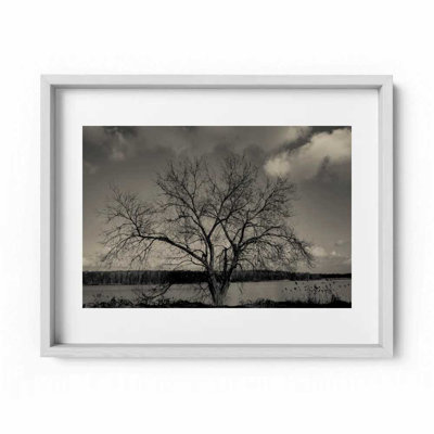 Baum Im Winter Print by Joseph Regan