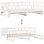 Rittie Solid Wood Daybed with Trundle-669739564
