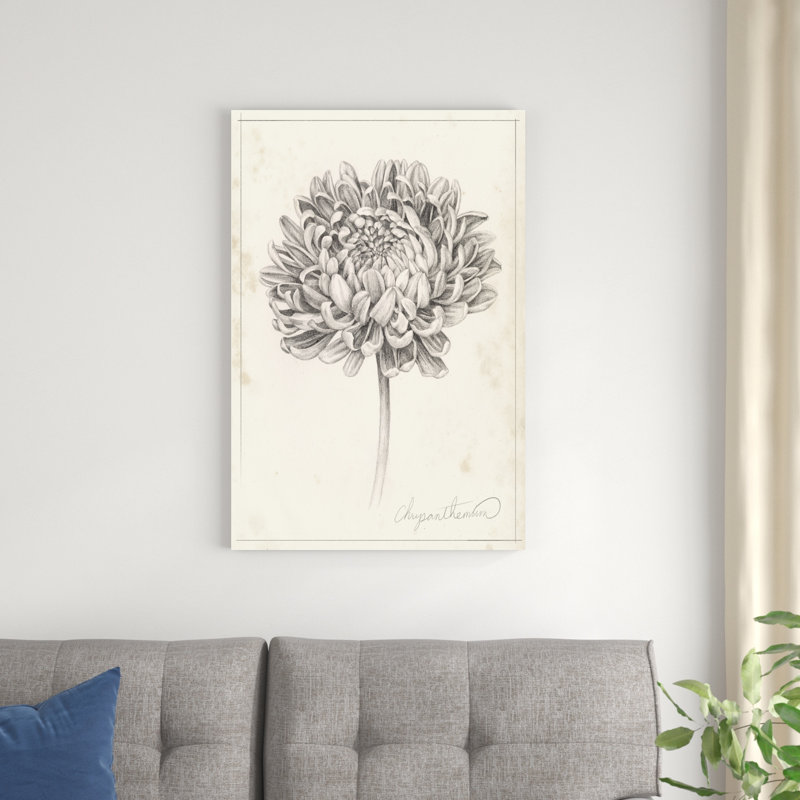 Graphite Chrysanthemum Study II, H 36 po x l 24 po x P 1,25 po
