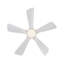 Ventilateur de plafond intérieur chaud 42 pouces avec lumière DEL à intensité variable, 5 pales en bois massif, télécommande, moteur à courant continu-1511715568-1511715569