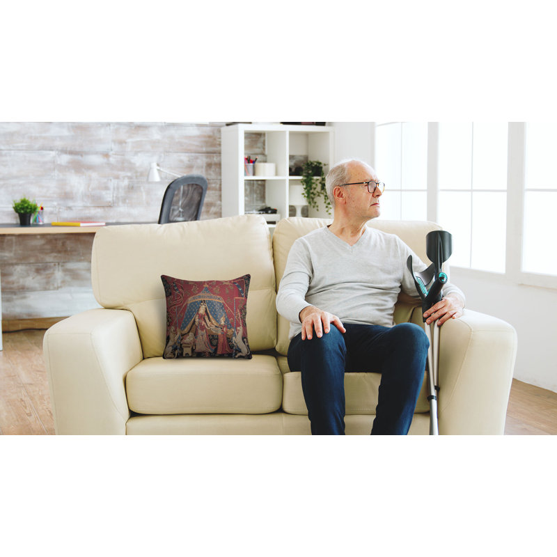  Reversible Throw Pillow