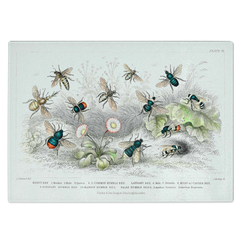 Tempered Glass Assortment of Bees Chopping Board, 28.5 cm W x 20 cm L