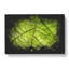Leaf Roads - Wrapped Canvas-56643706