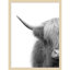 «Hey Dude Highland Cow Crop» par The Creative Bunch Studio - reproduction de cadre photo-1575375064-1575375056