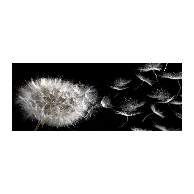 Dandelion - Wrapped Canvas Print