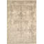Oriental Area Rug