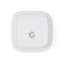 Classic Wrendale Designs  - Square Dish (Hare)